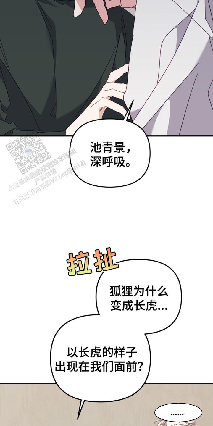 虎不宜配什么属相漫画,第69话2图