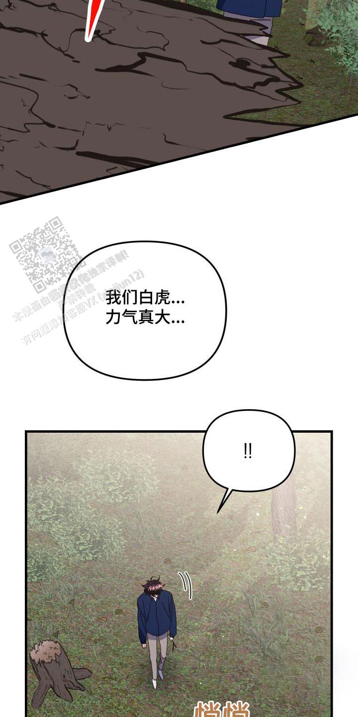 虎从天降漫画更新时间漫画,第78话2图