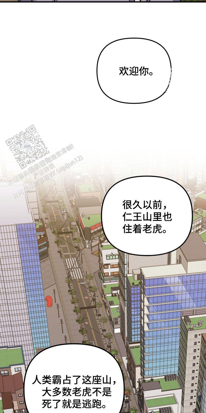 虎从天降漫画未删减免费下拉漫画,第48话2图