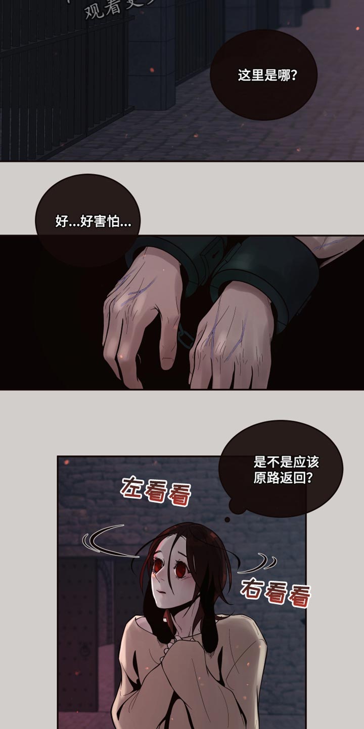 北极兔饲养方法漫画,第12话2图