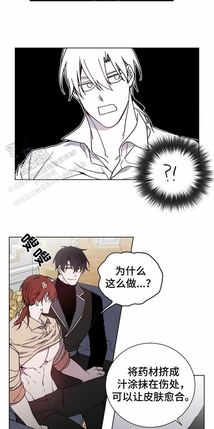 伯爵爱上萌萝莉小说漫画,第34话2图