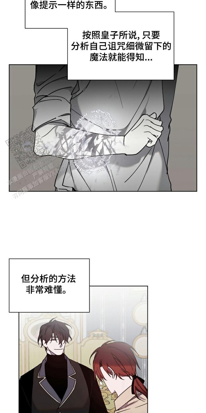 伯爵爱的猫是什么意思漫画,第35话2图