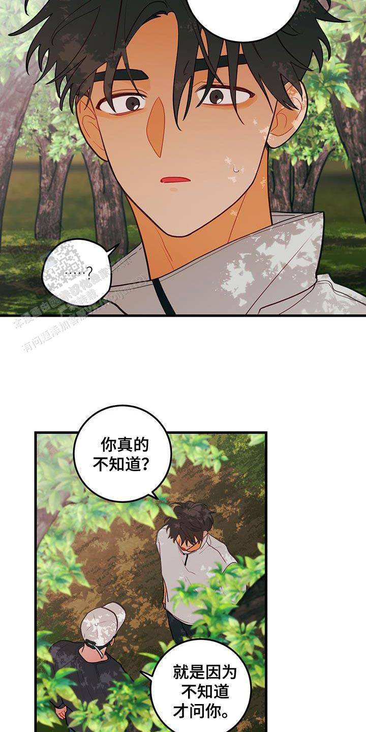 梨花盛开的爱漫画,第84话1图