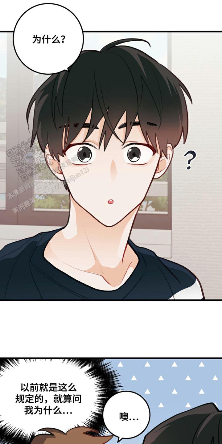 梨花盛开的爱漫画,第19话1图