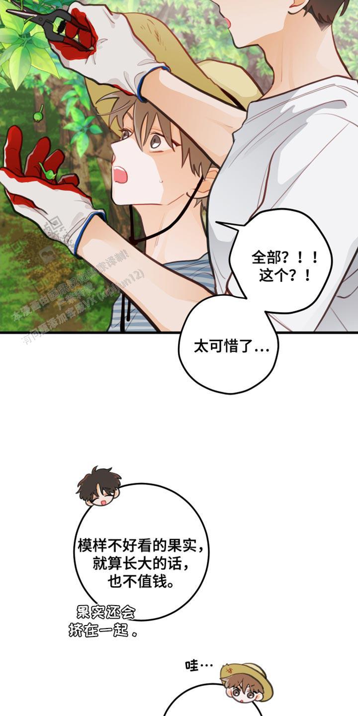 梨花盛开的抖音短视频漫画,第31话1图