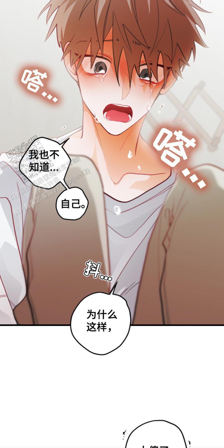 梨花盛开的爱小说漫画,第60话2图