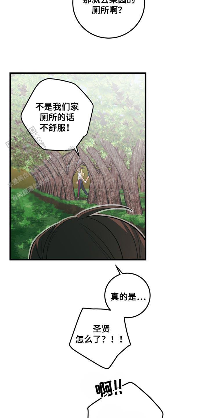 梨花盛开的爱漫画免费第三季漫画,第70话2图