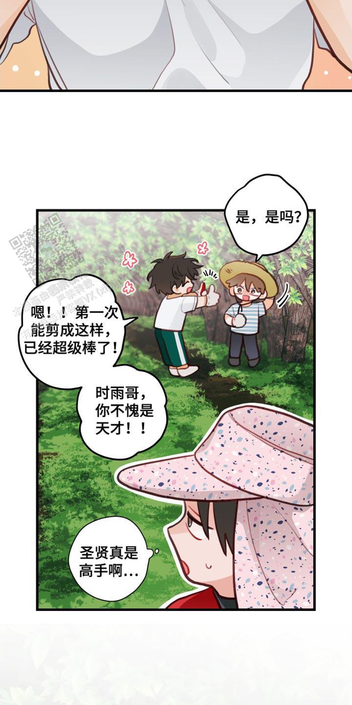 梨花盛开的时节阅读答案漫画,第31话1图