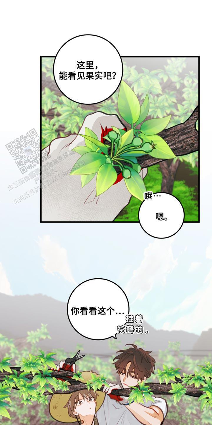 梨花盛开的抖音短视频漫画,第31话1图