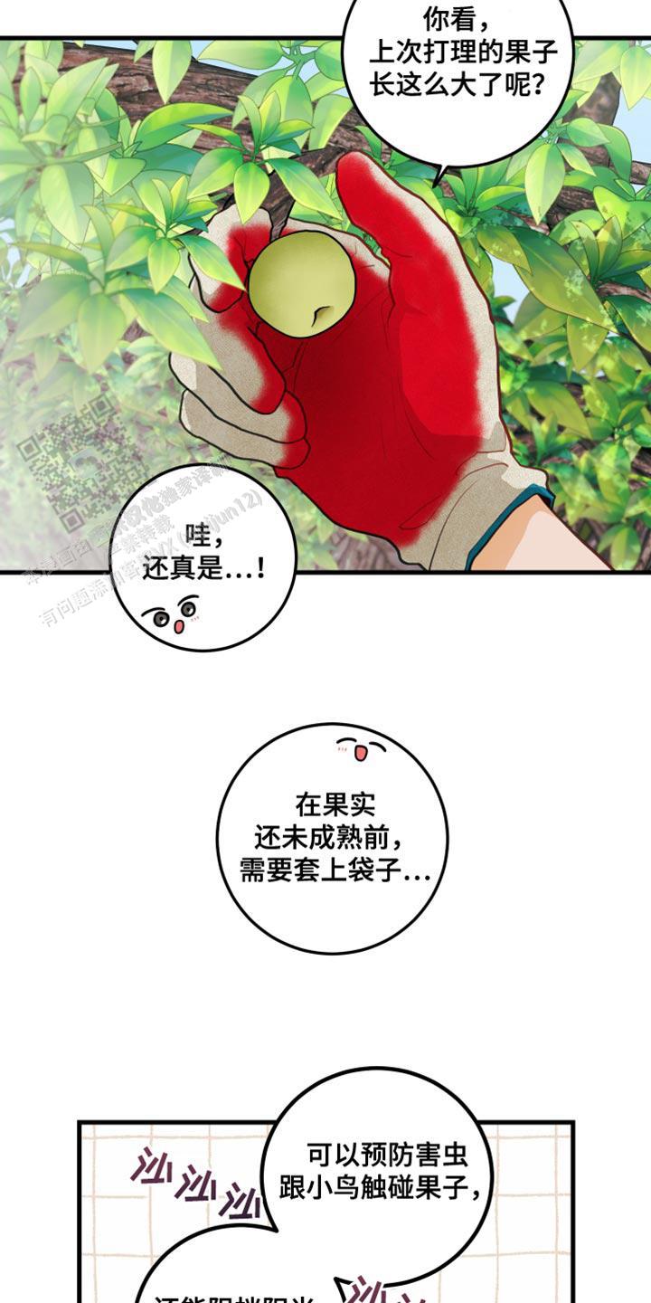 梨花盛开的爱情漫画作者简介漫画,第69话2图