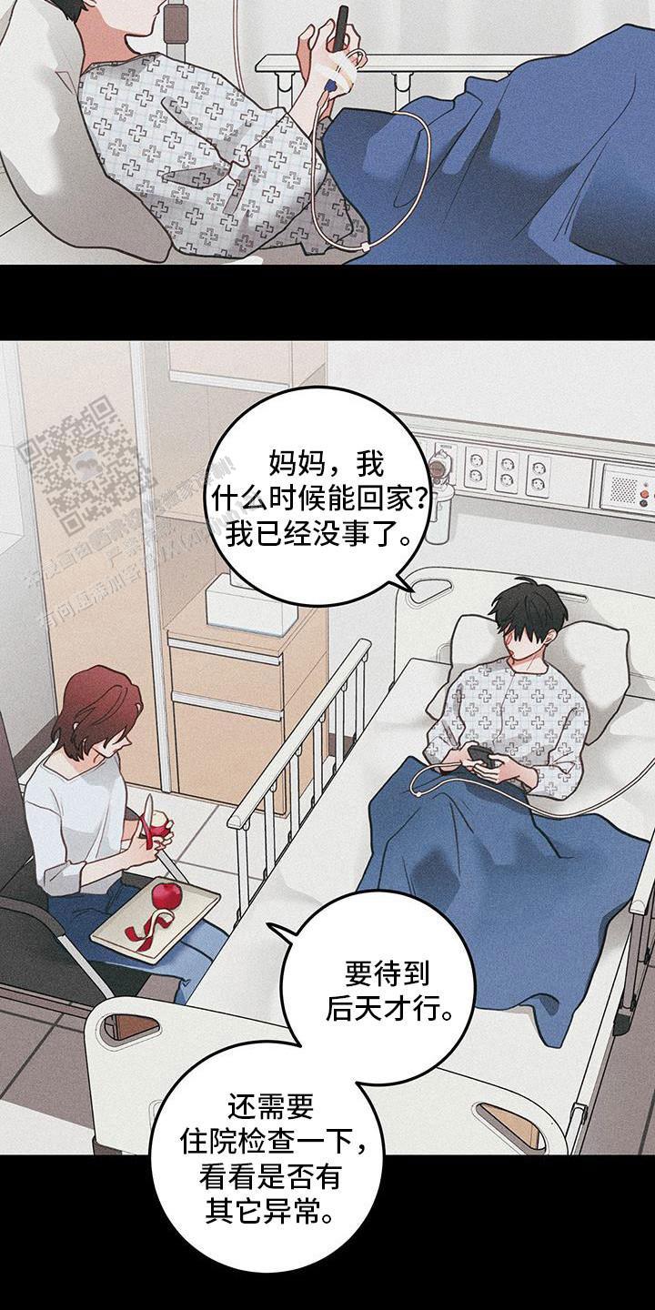 梨花盛开的爱为什么停更漫画,第101话1图