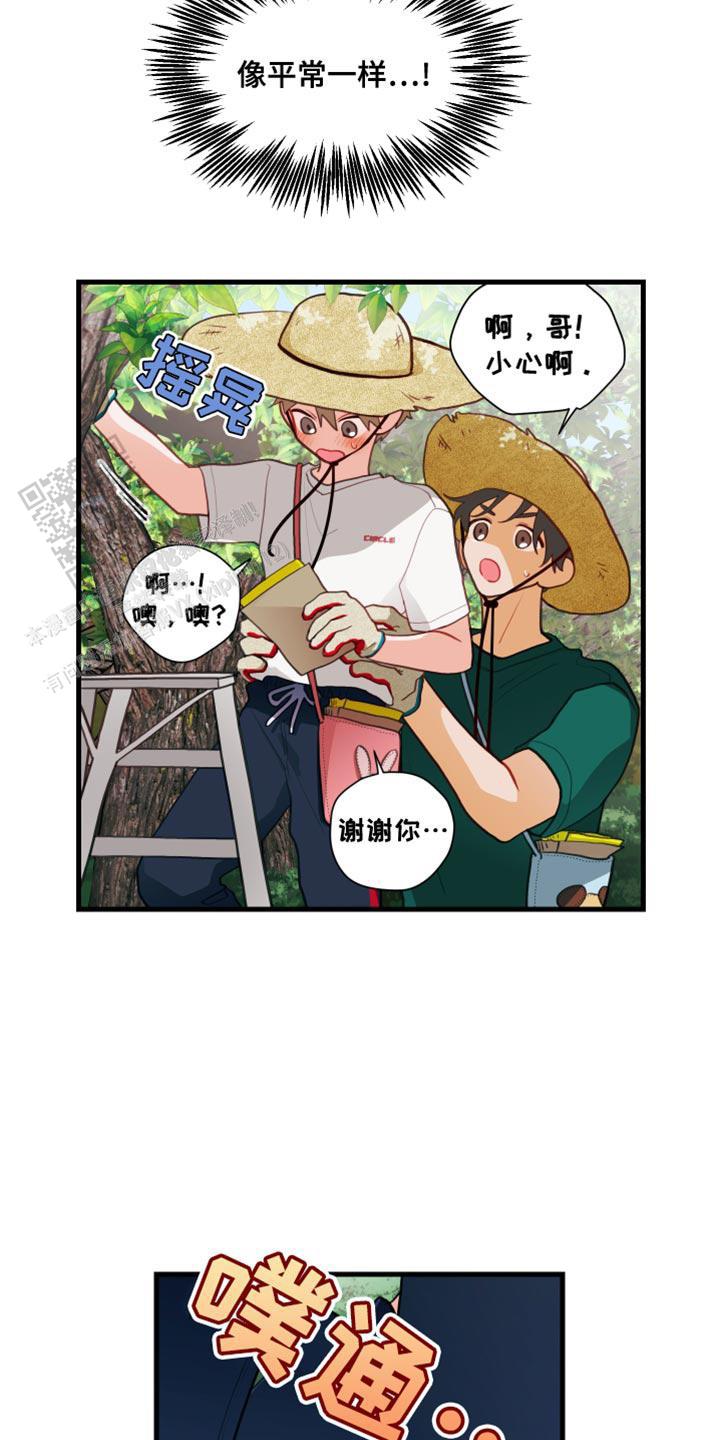 梨花盛开的抖音短视频漫画,第69话2图