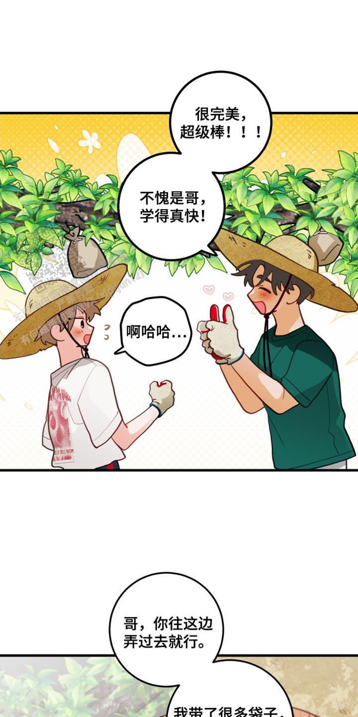 梨花盛开的抖音短视频漫画,第69话2图