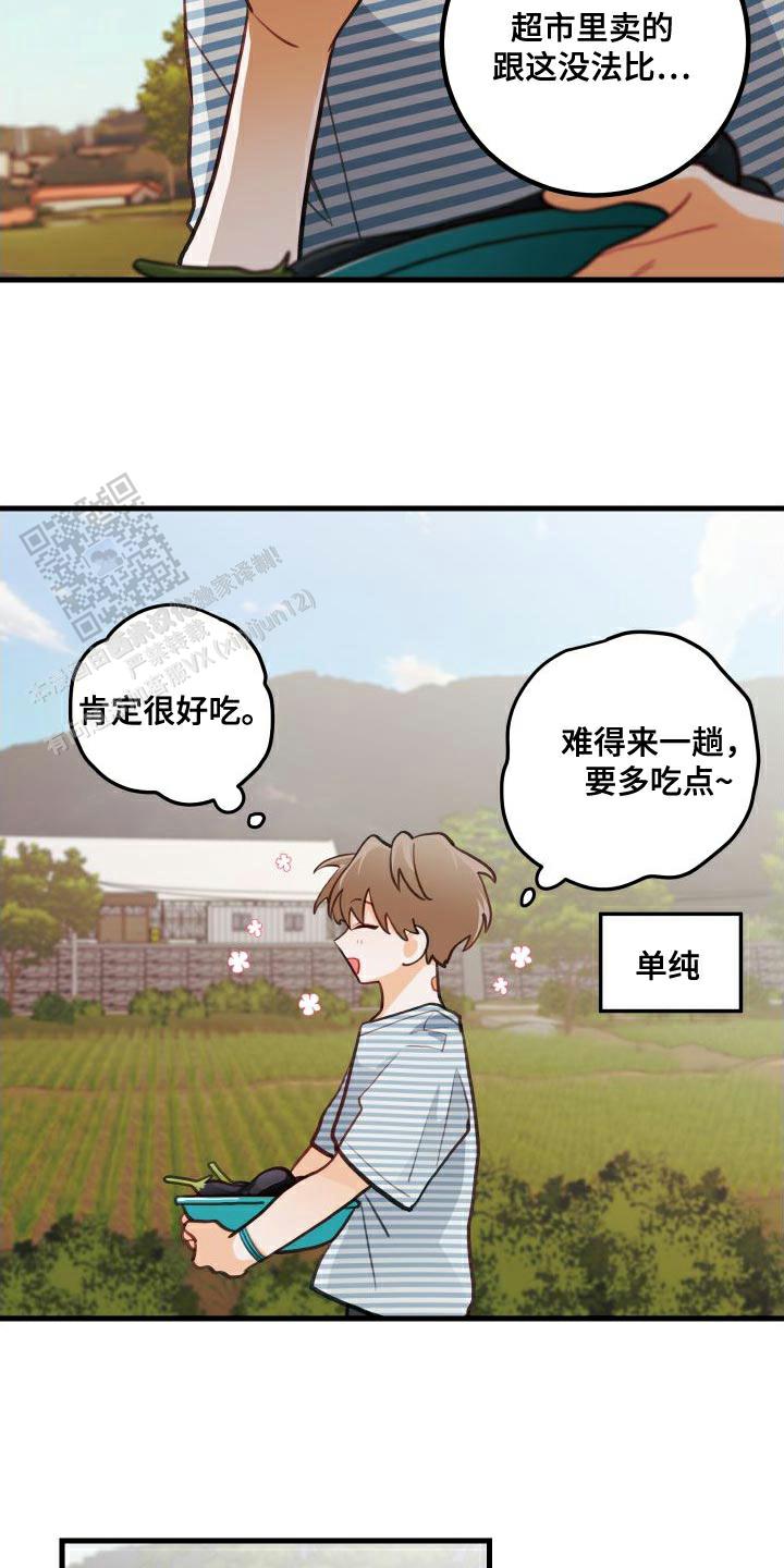 梨花盛开的时候主要写了什么漫画,第27话1图