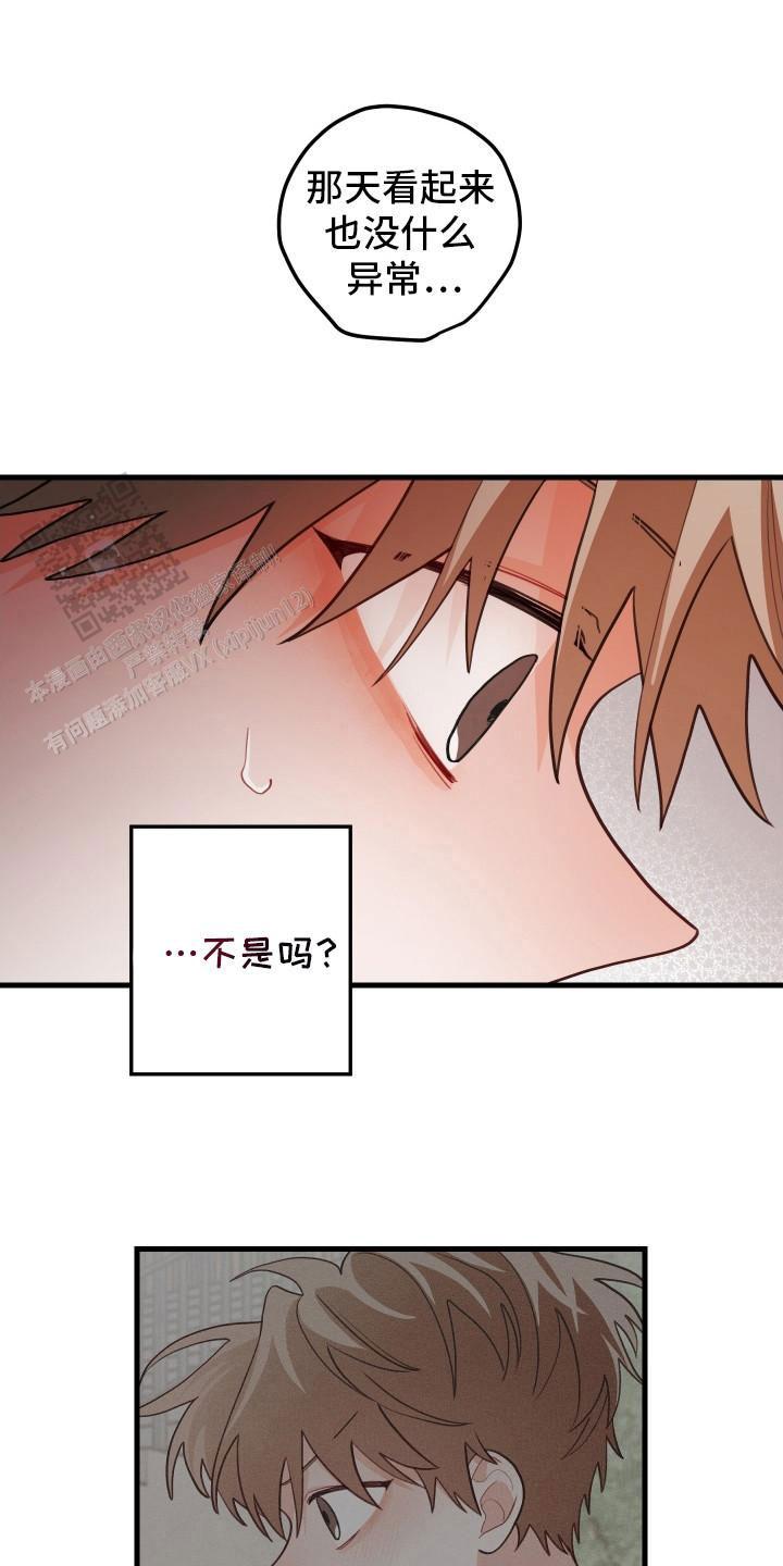 梨花盛开的爱更新到几集了漫画,第104话2图