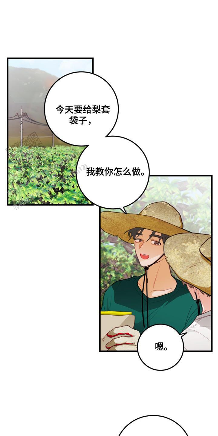 梨花盛开的爱情漫画作者简介漫画,第69话1图