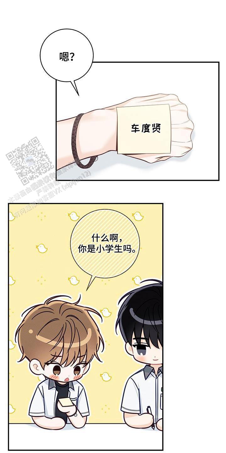 夏季游泳锦标赛漫画,第76话1图