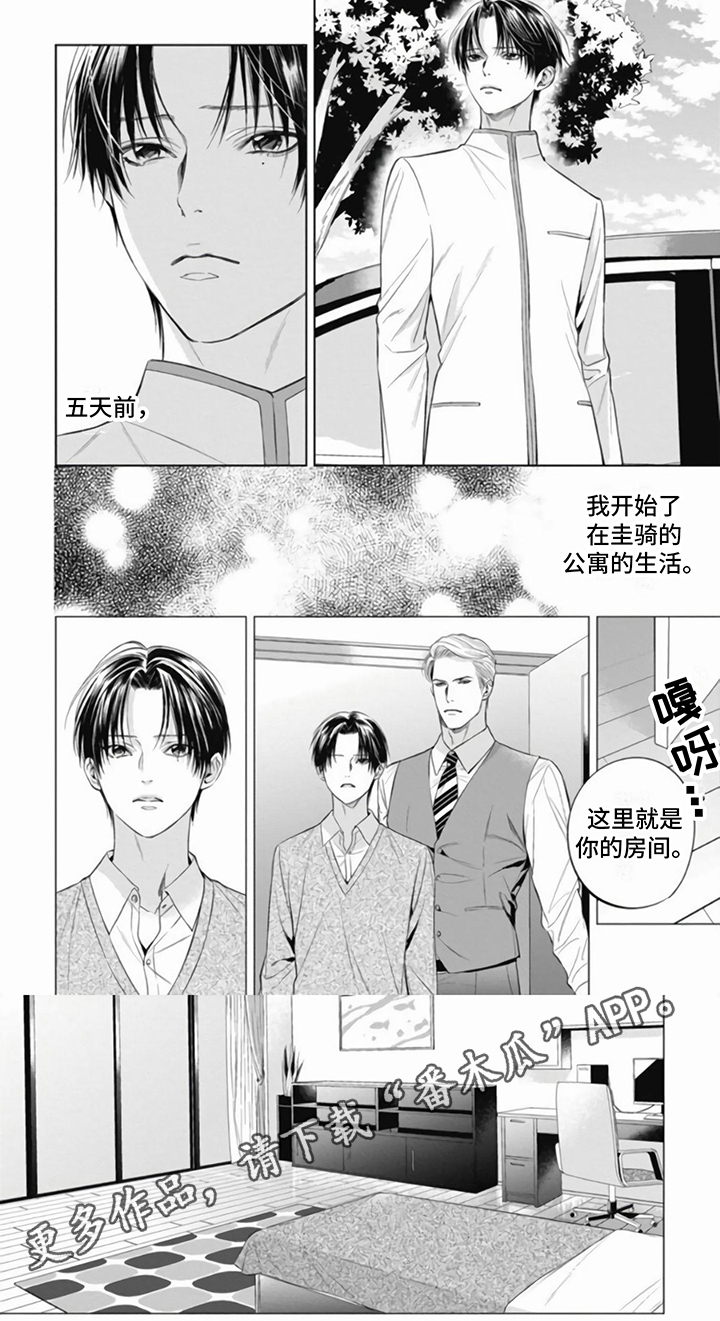 阿尔法的花嫁头像漫画,第9话2图