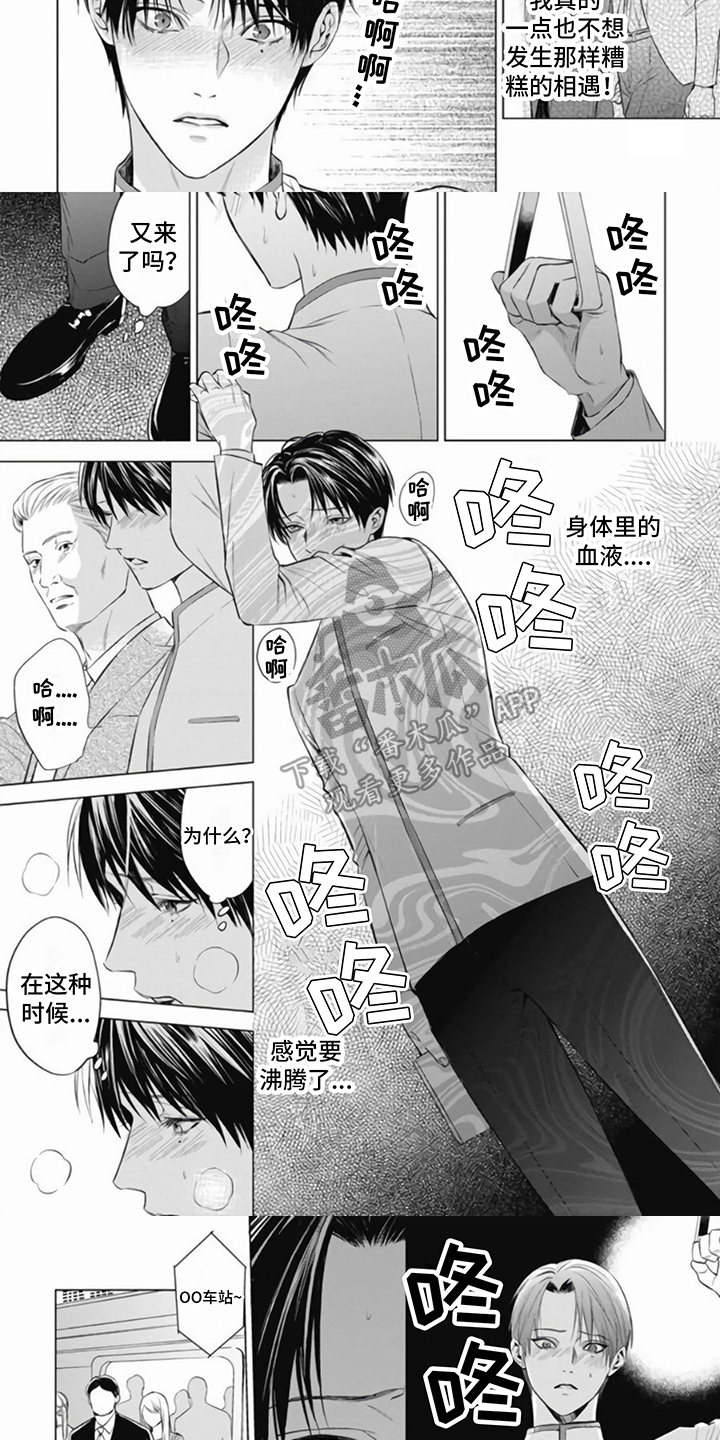 阿尔法的花嫁恋情漫画免费阅读漫画,第4话1图