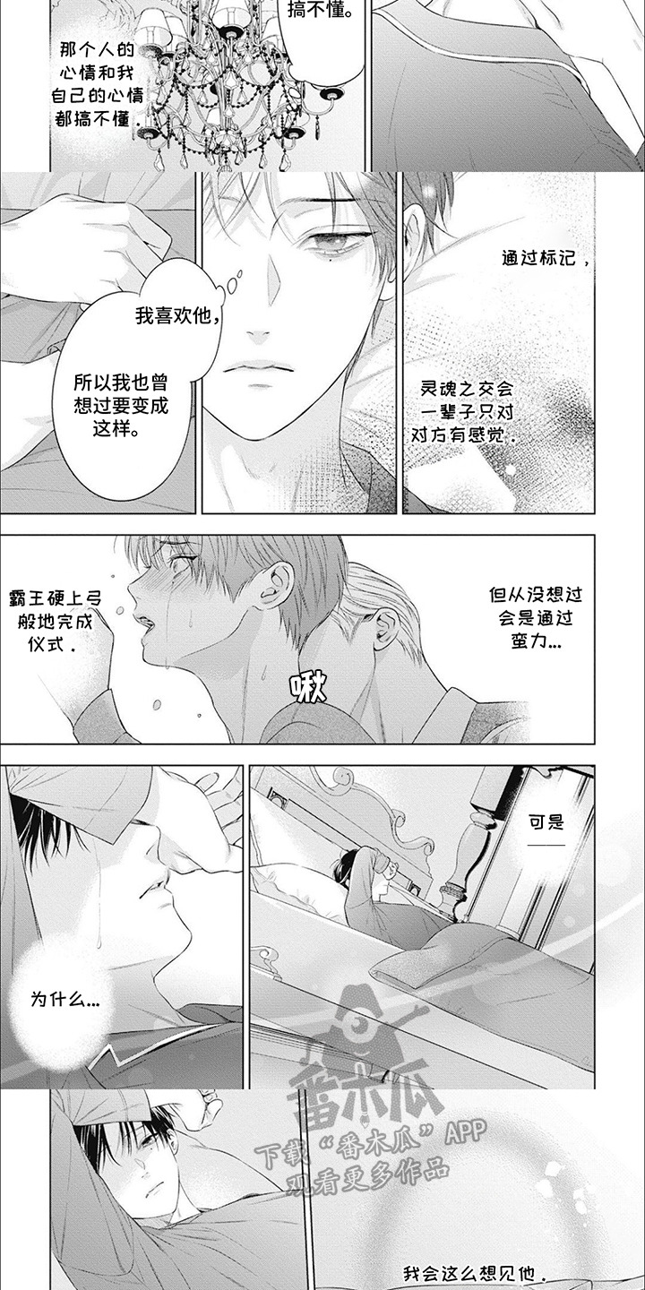 阿尔法的拼音漫画,第53话1图