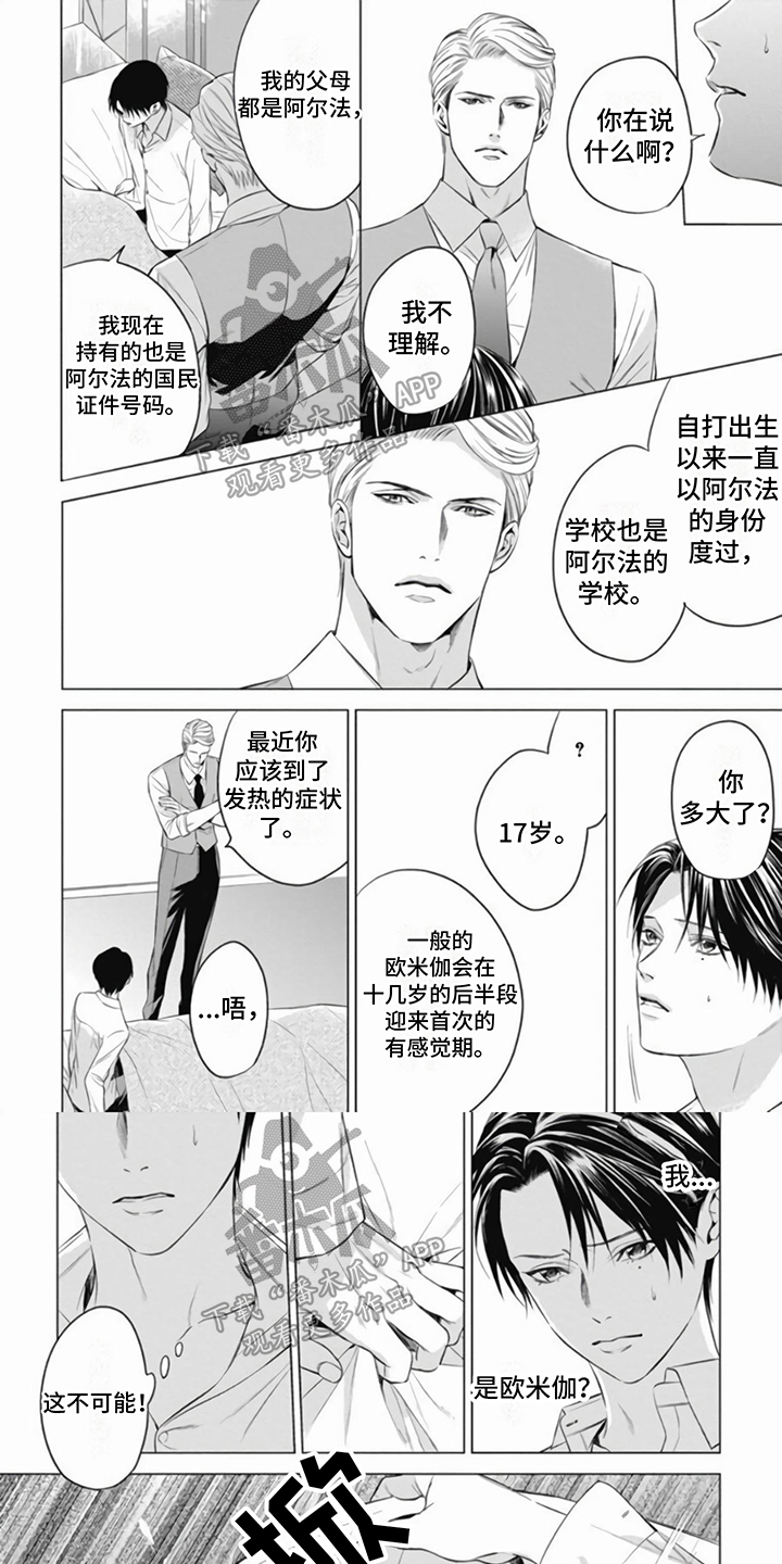 阿尔法的花嫁小说漫画,第6话1图