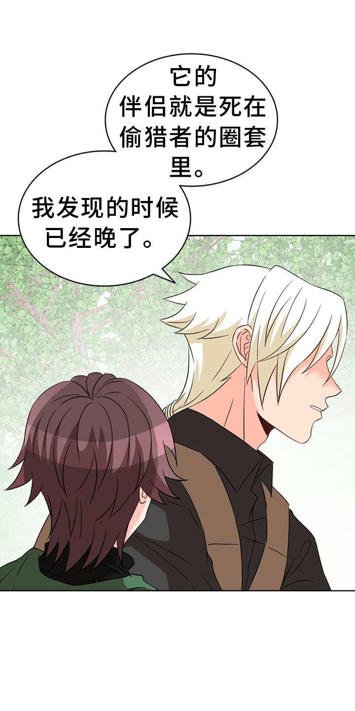 怪物恋曲漫画,第65章：【第二季】爱人1图