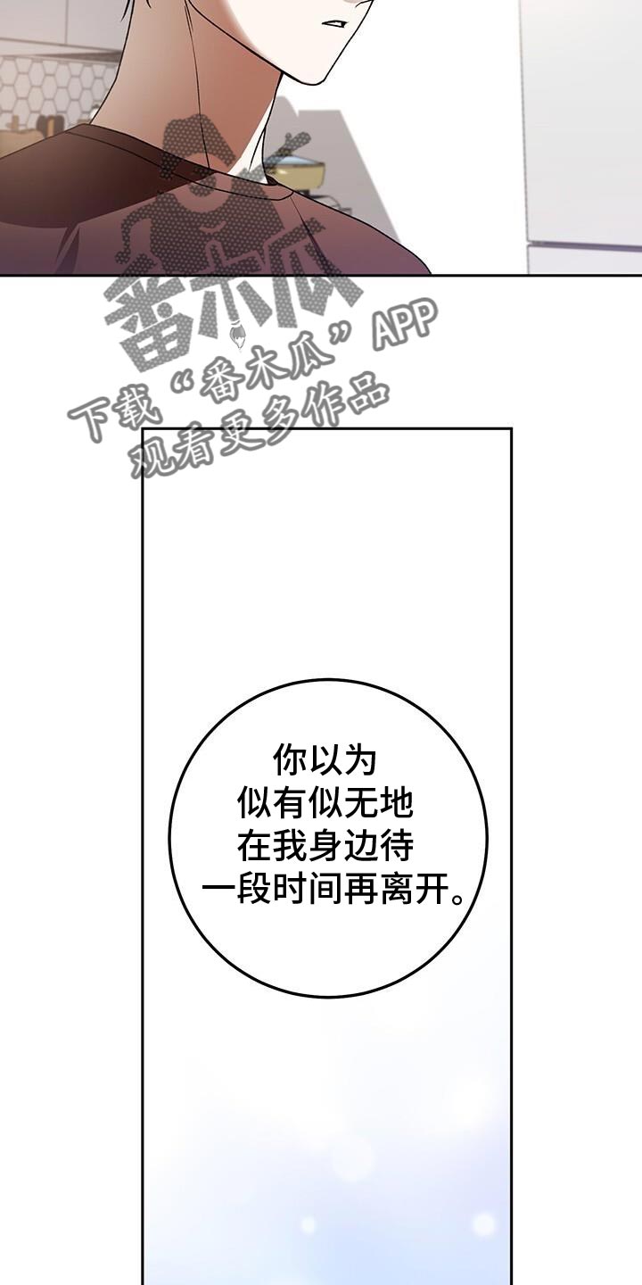 爱意攻击小说在哪里看漫画,第165话1图