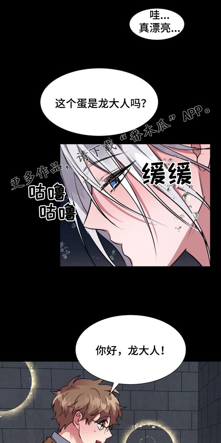 龙之蜜堡别名漫画,第66章：无法平凡（完结）2图