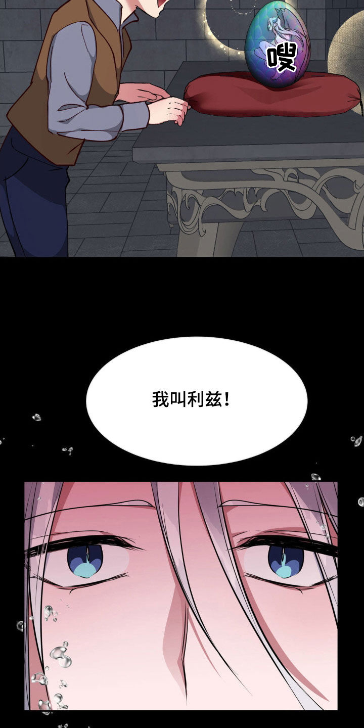 龙之蜜堡画涯[Doge]漫画,第66章：无法平凡（完结）1图