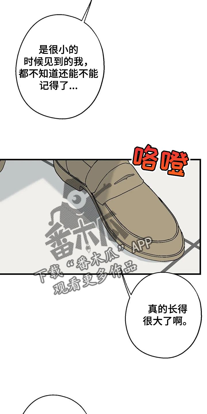 年下之恋漫画全集漫画,第68话2图