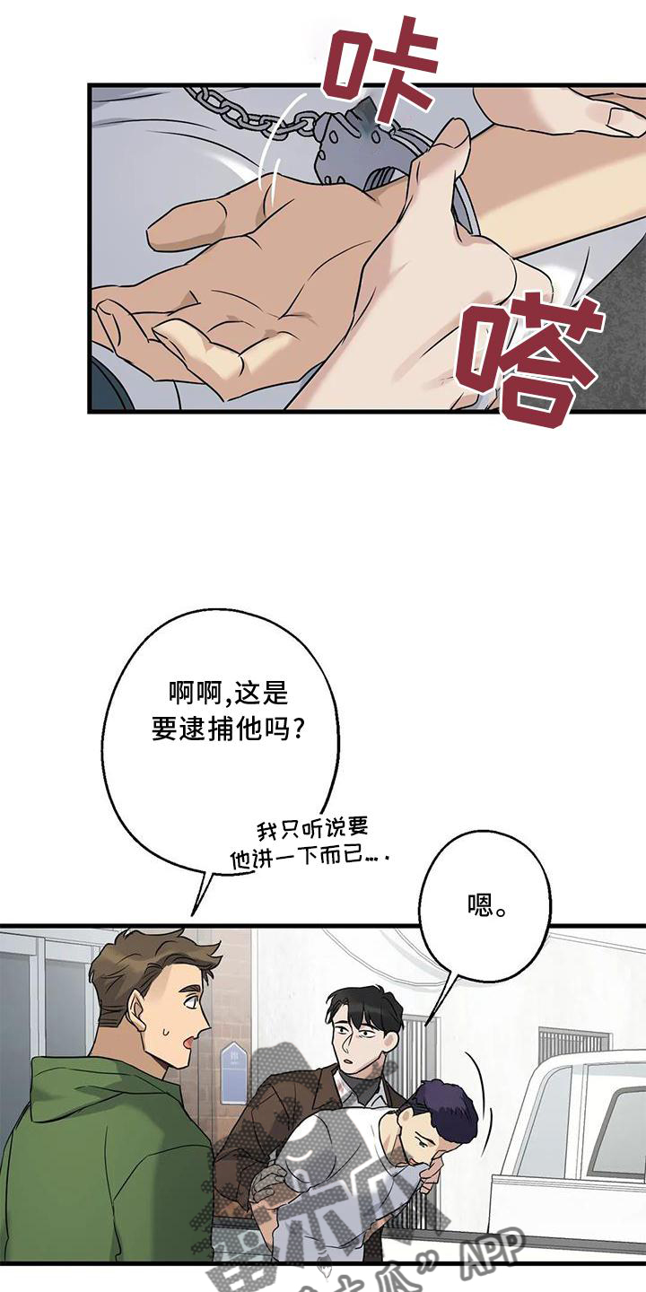 年下之恋苏晴周辰知乎漫画,第37话1图