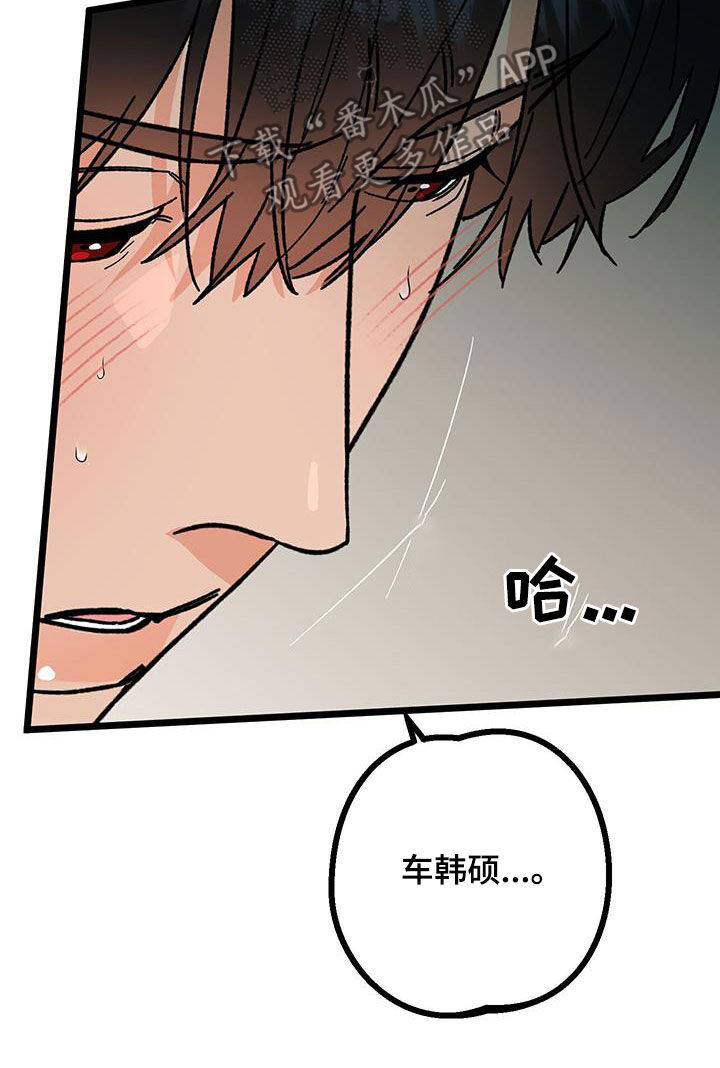 诅咒之岛恐龙下载漫画,第105话2图