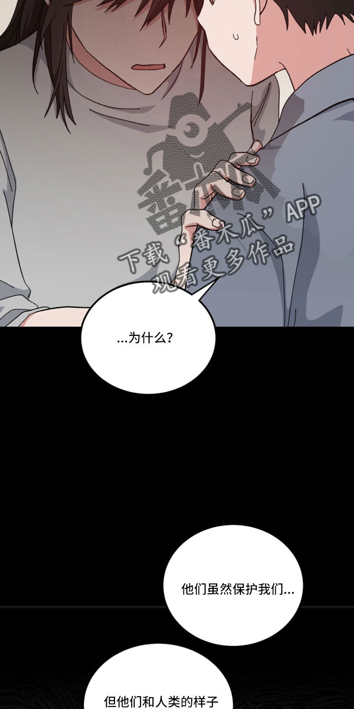 守护神在古代叫什么漫画,第52话1图