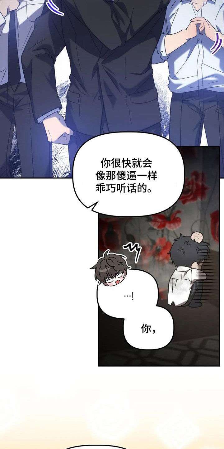 危险运输的罐车从哪里买漫画,第58话1图