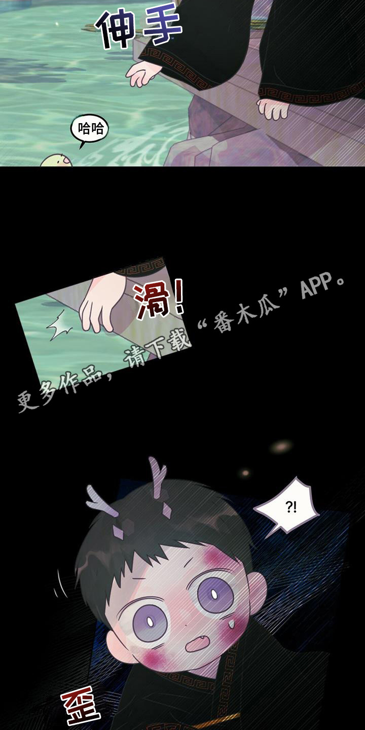 兔兔的小猪漫画,第27话1图