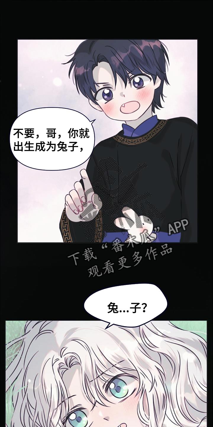 兔兔的做法漫画,第63话1图