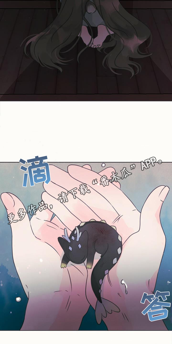 兔兔的小龙宝讲的什么漫画,第17话1图