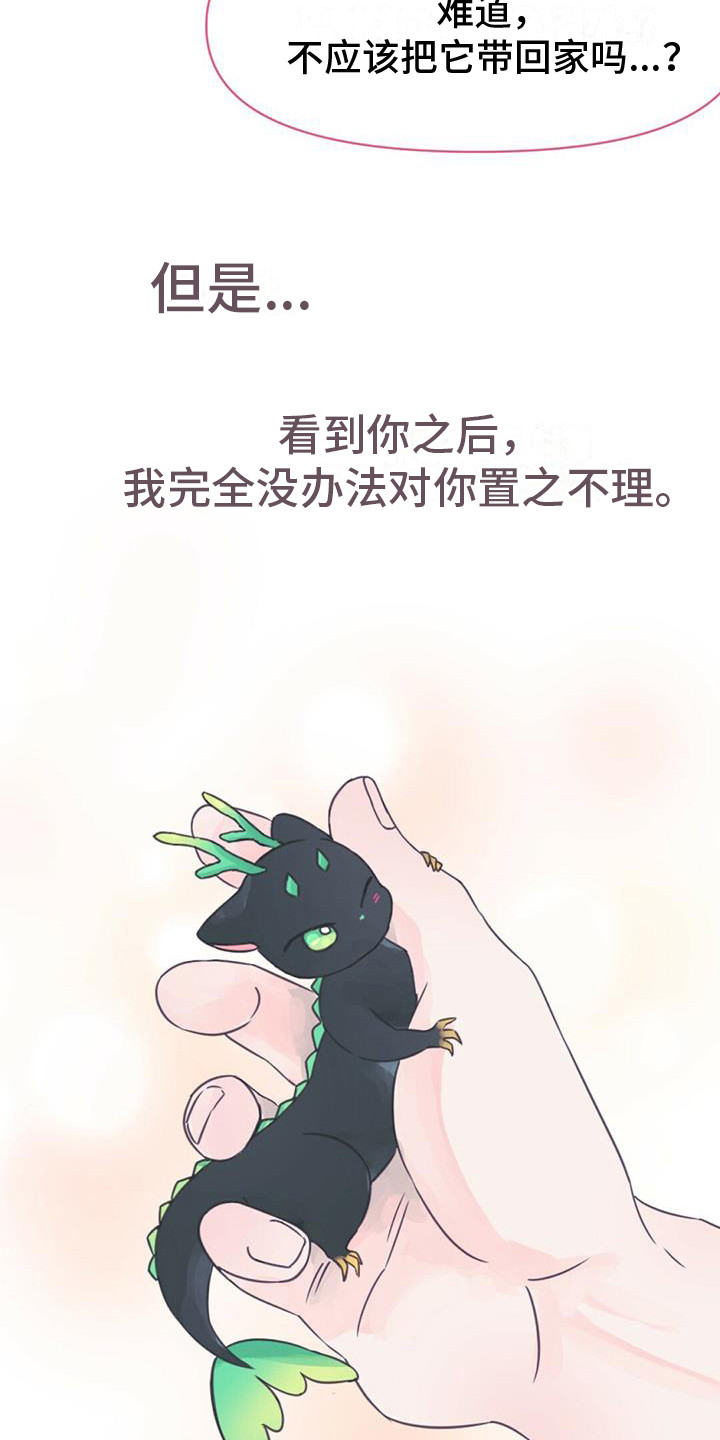 兔兔的小龙宝讲的什么漫画,第3话2图