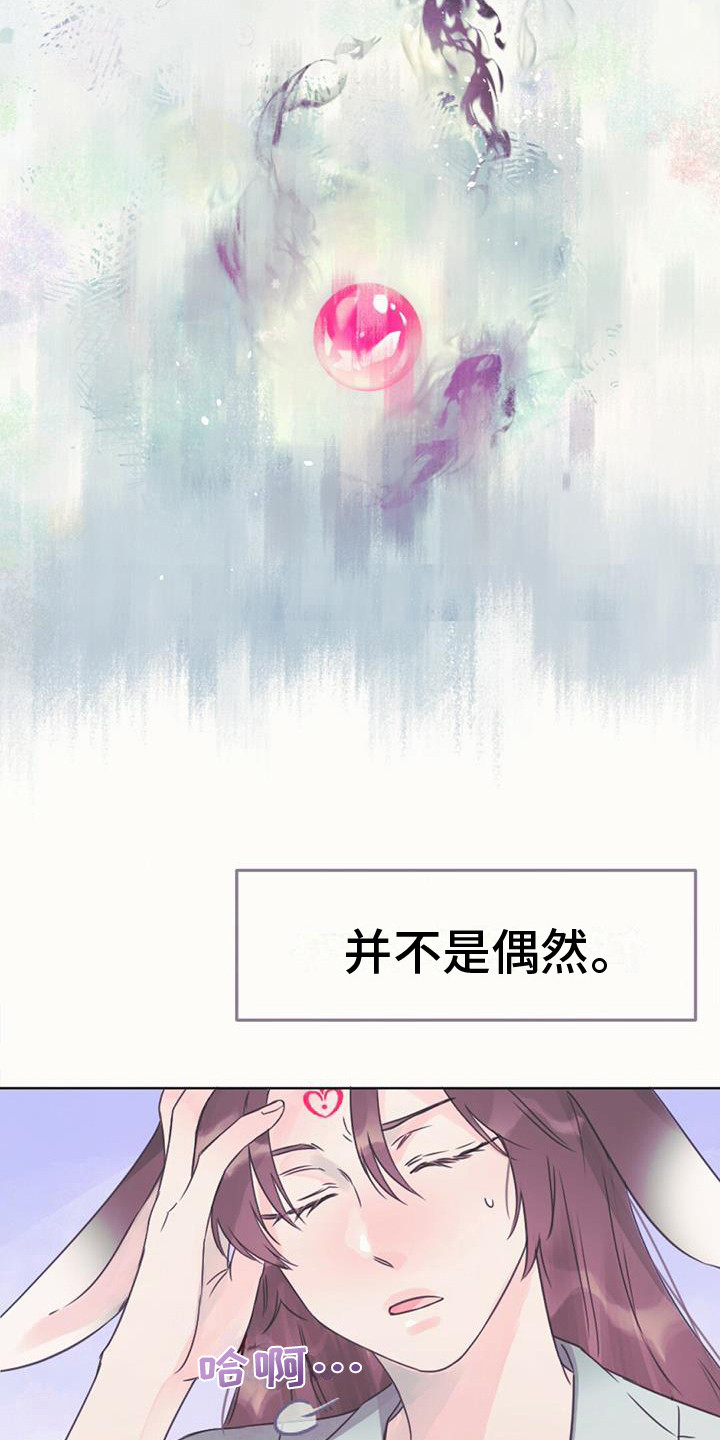 兔兔的做法漫画,第19话1图