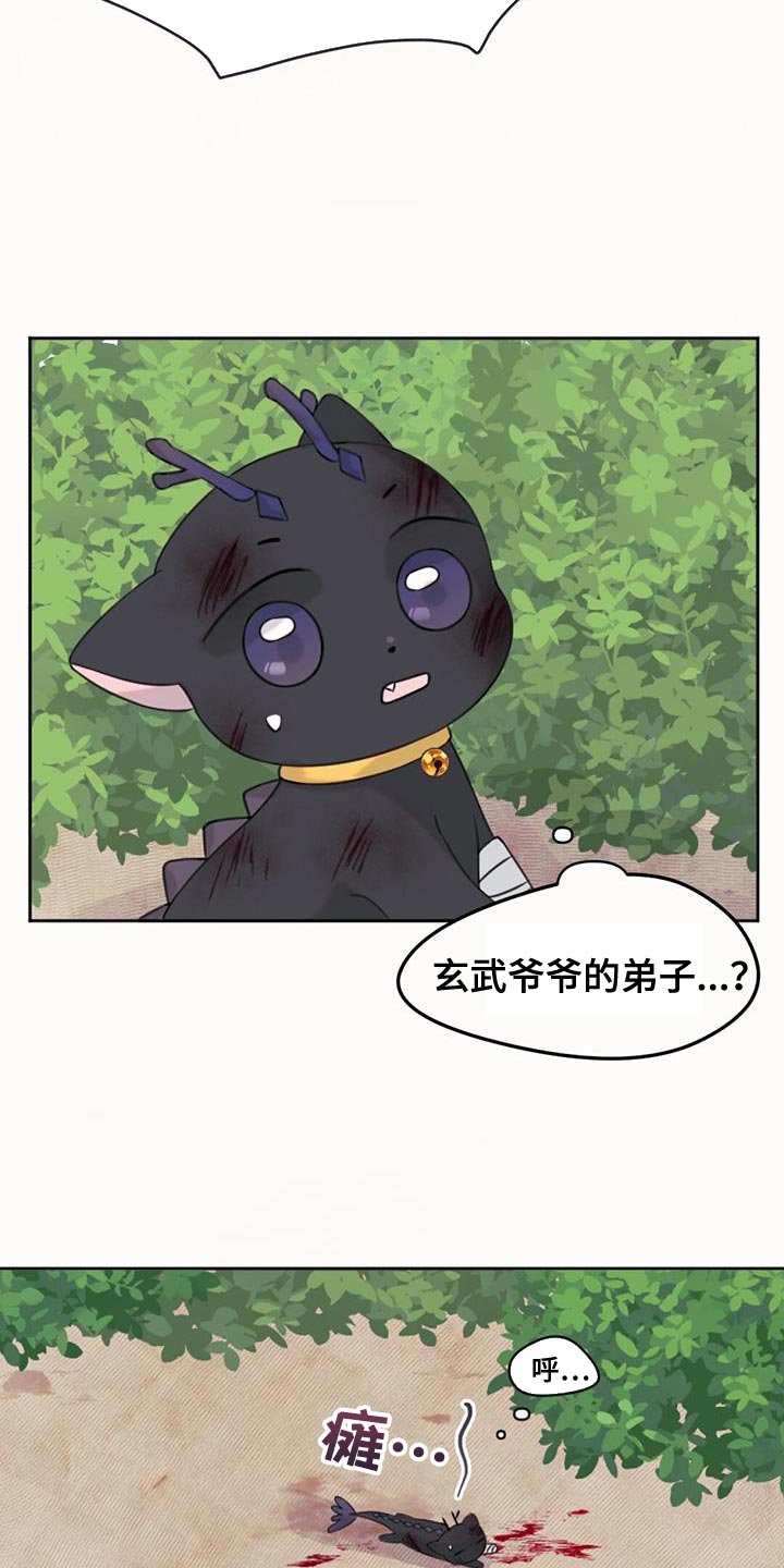 兔兔的故事睡前漫画,第68话1图