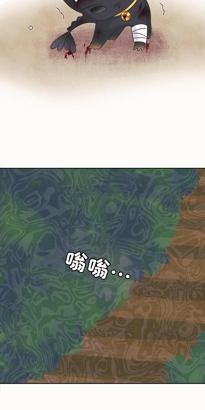 兔兔的小龙宝漫画,第66话2图