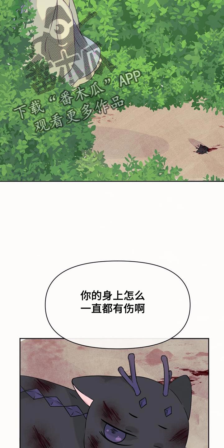 兔兔的小龙宝漫画,第68话1图