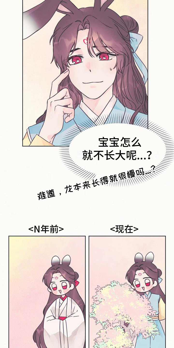 兔兔的小视频大全漫画,第5话2图