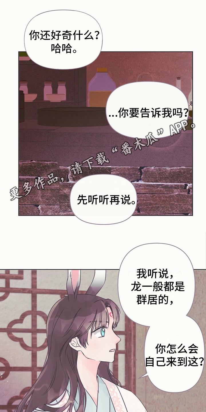 兔兔的小龙宝讲的什么漫画,第10话1图