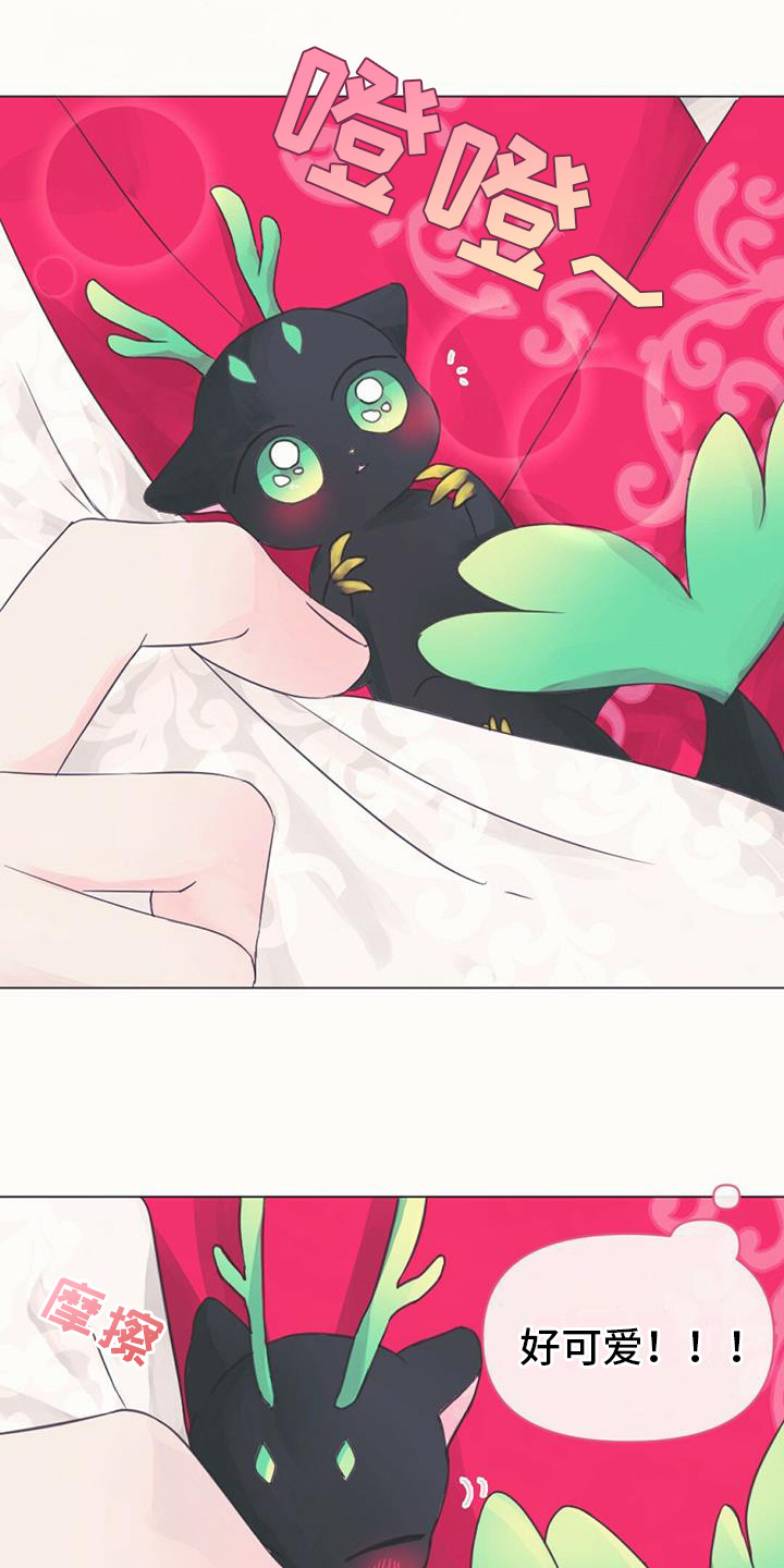兔兔的小龙宝漫画,第1话1图