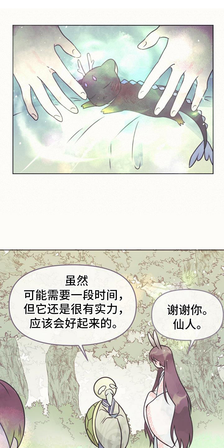 兔兔的小猪漫画,第21话1图