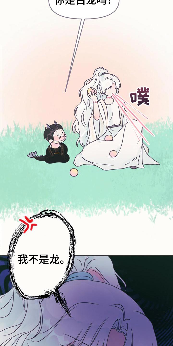 兔兔的小龙宝漫画,第31话1图