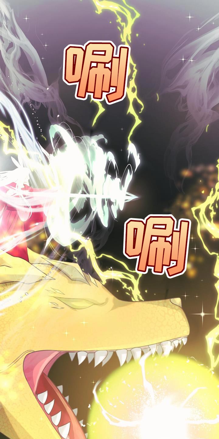 兔兔的小龙宝漫画,第100章：我的龙【完结】1图