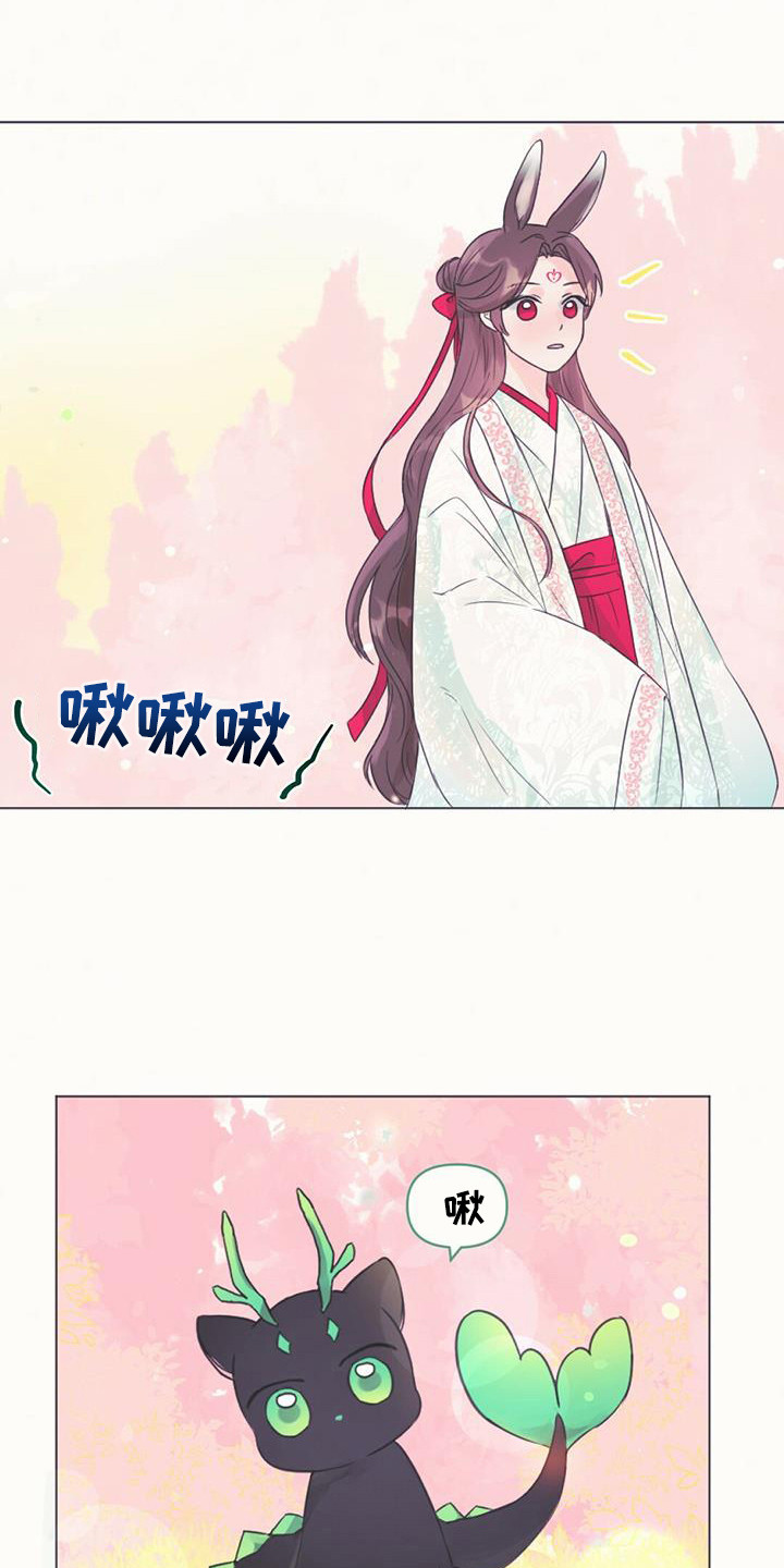 兔兔的小龙宝动漫漫画,第2话1图