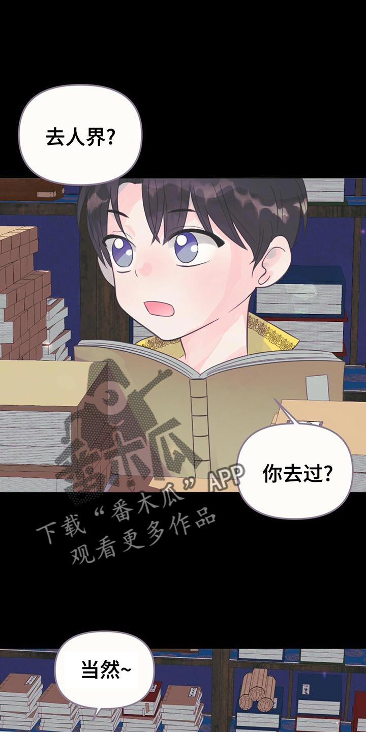 兔兔的小龙宝动漫漫画,第36话1图